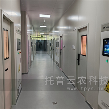 智能人工气候室